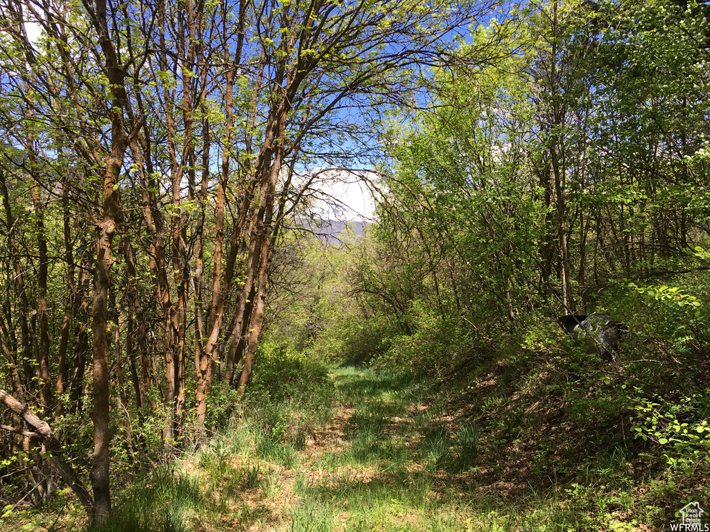 95 N OAK HAVEN Midway, UT 84049