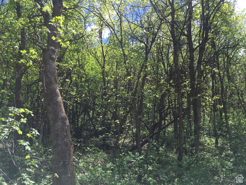 95 N OAK HAVEN Midway, UT 84049