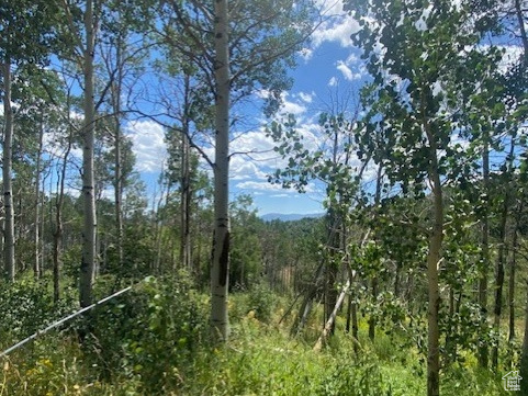 2684 S FOREST MEADOW RD Coalville, UT 84017