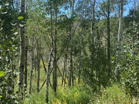 2684 S FOREST MEADOW RD Coalville, UT 84017