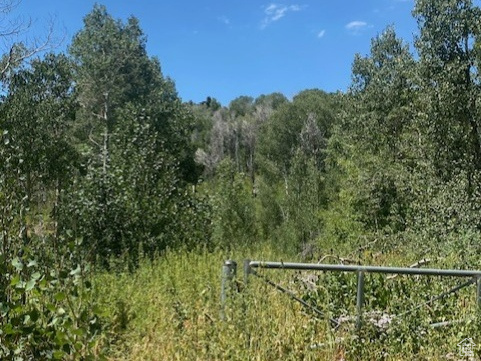 2684 S FOREST MEADOW RD Coalville, UT 84017
