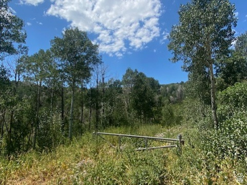 2684 S FOREST MEADOW RD Coalville, UT 84017