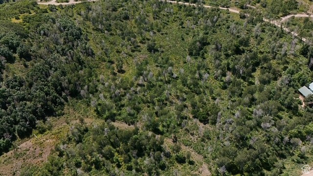2684 S FOREST MEADOW RD Coalville, UT 84017