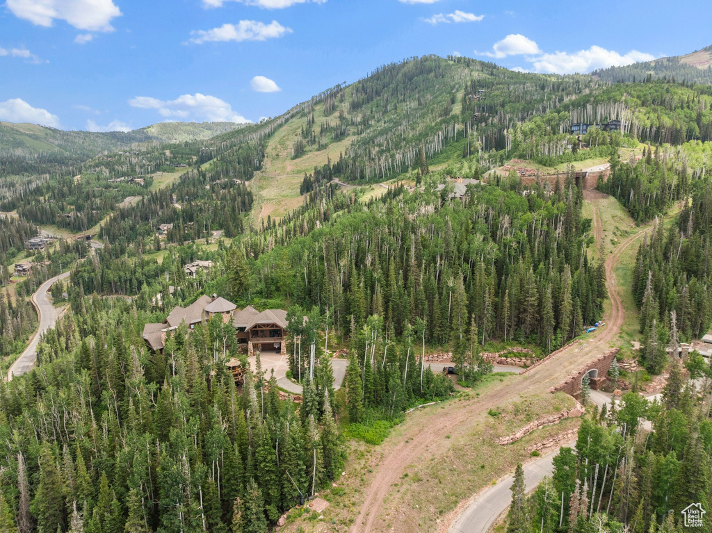 35 WHITE PINE CANYON RD Park City, UT 84060