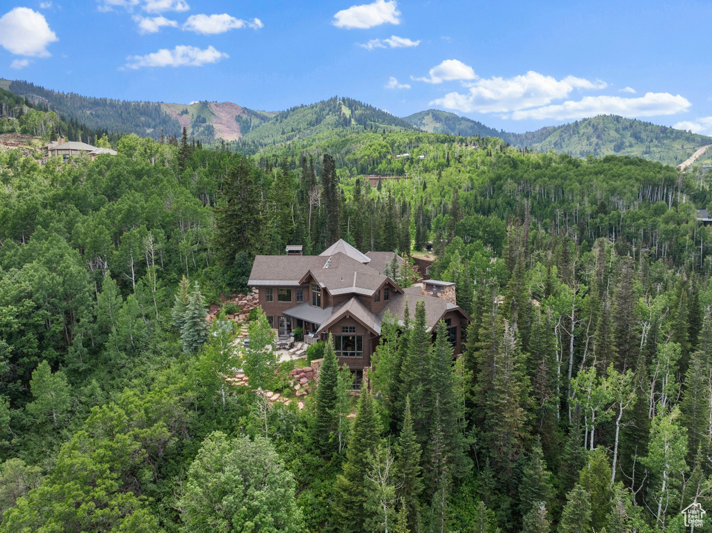 35 WHITE PINE CANYON RD Park City, UT 84060