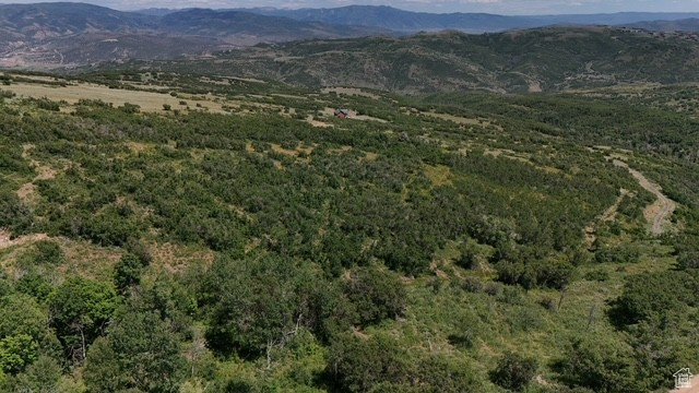 145  FOREST MEADOW RD Coalville, UT 84017