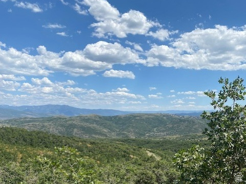 145  FOREST MEADOW RD Coalville, UT 84017