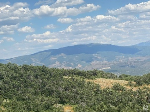 145  FOREST MEADOW RD Coalville, UT 84017
