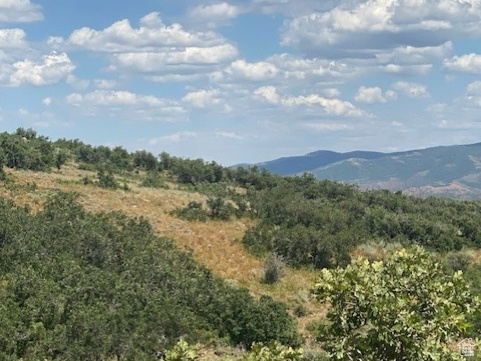 145  FOREST MEADOW RD Coalville, UT 84017