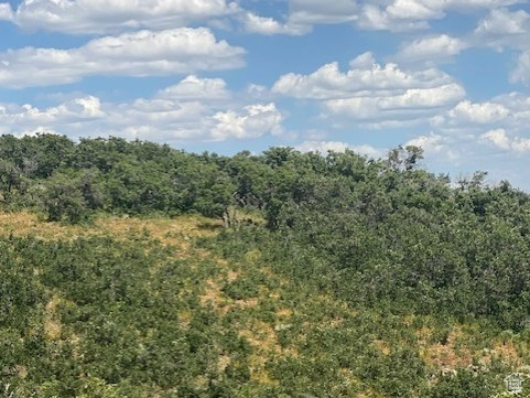 145  FOREST MEADOW RD Coalville, UT 84017