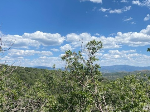 145  FOREST MEADOW RD Coalville, UT 84017