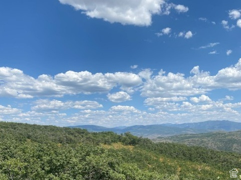 145  FOREST MEADOW RD Coalville, UT 84017