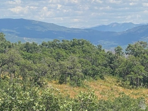 145  FOREST MEADOW RD Coalville, UT 84017