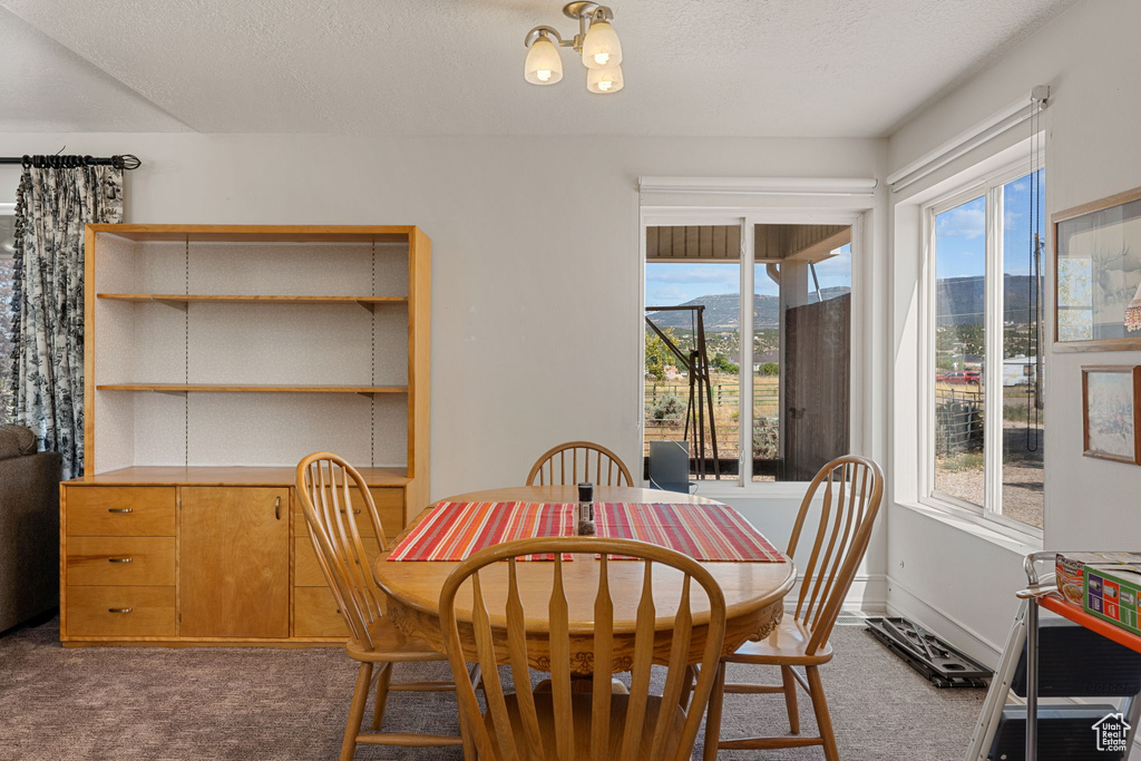 Photo 10 for MLS #2101427 at 872 S 4700 West