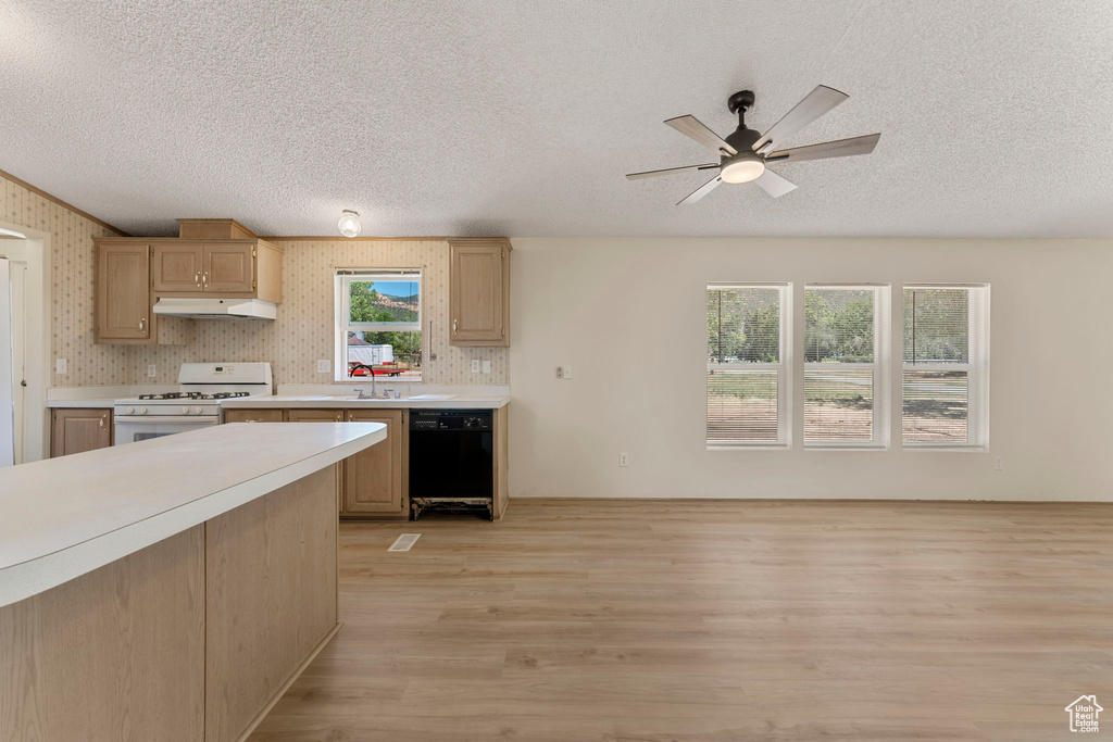 Photo 6 for MLS #2101434 at 184 W Center