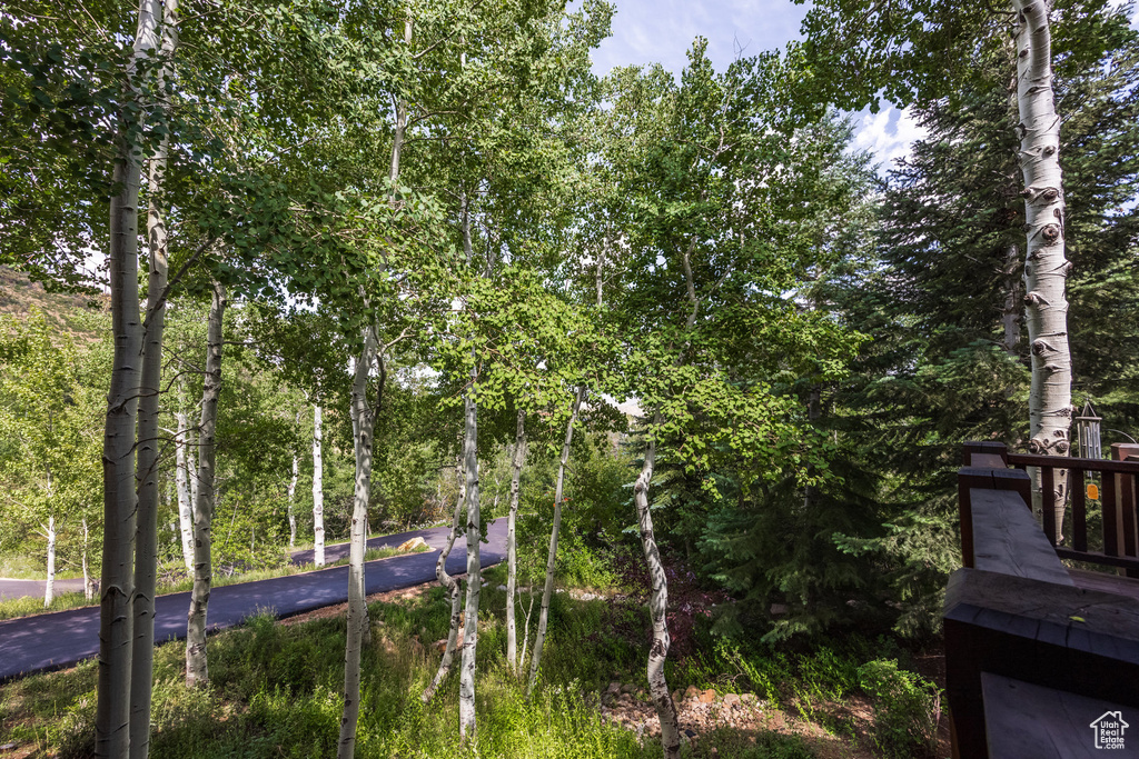 2185 BEAR HOLLOW DR Park City, UT 84098