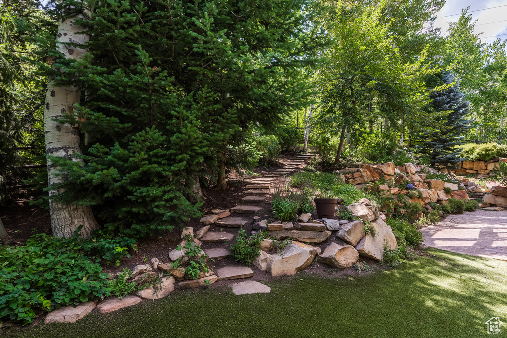 2185 BEAR HOLLOW DR Park City, UT 84098