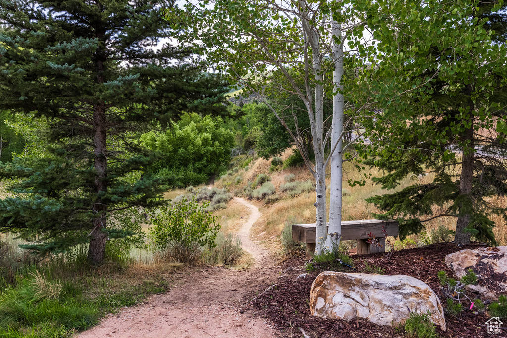 2185 BEAR HOLLOW DR Park City, UT 84098