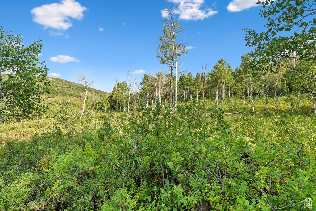  Woodland, UT 84036