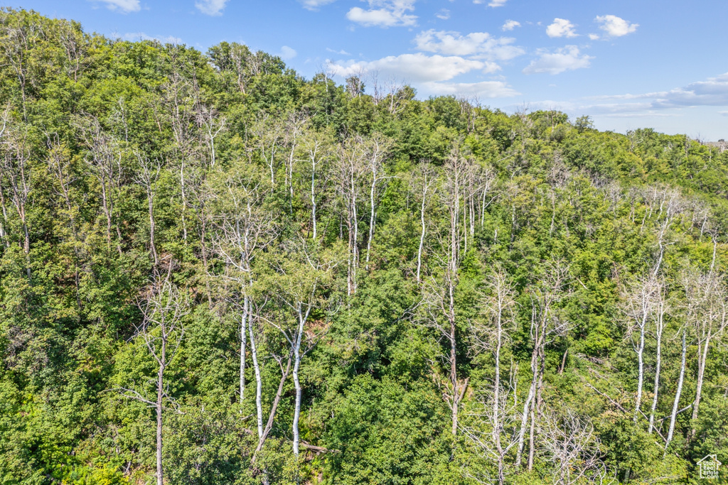  Woodland, UT 84036
