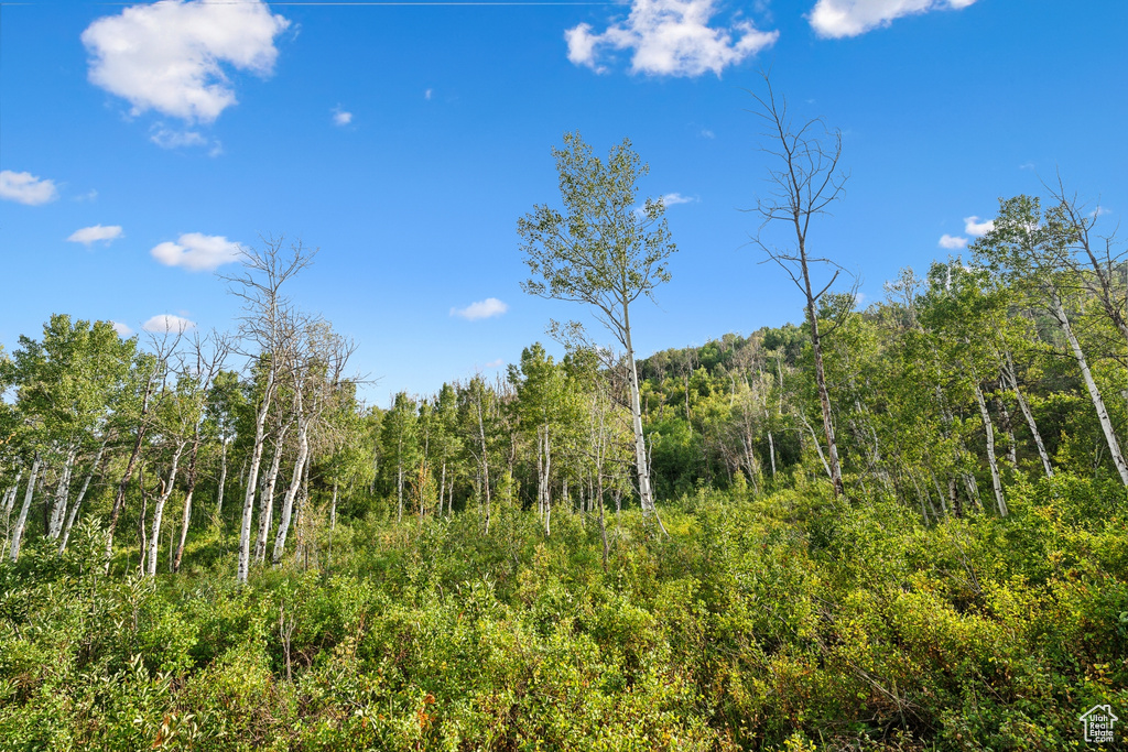  Woodland, UT 84036