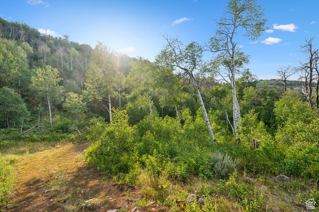  Woodland, UT 84036
