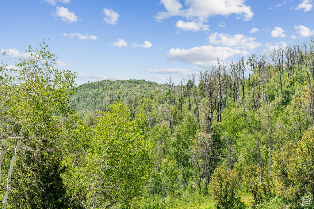 Woodland, UT 84036