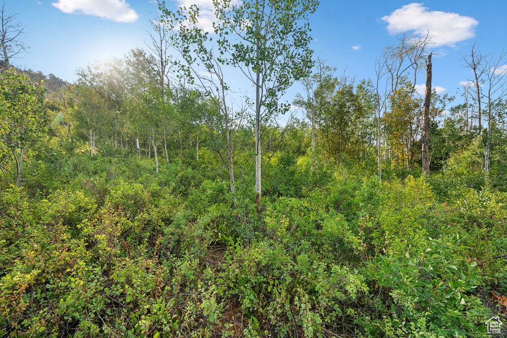  Woodland, UT 84036