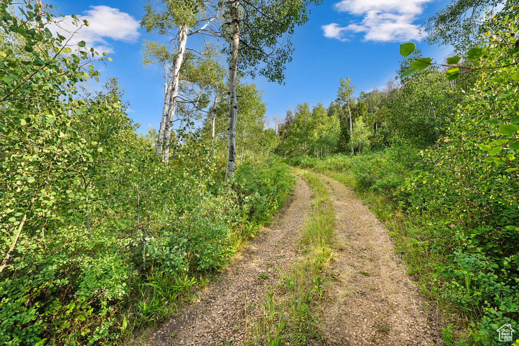  Woodland, UT 84036