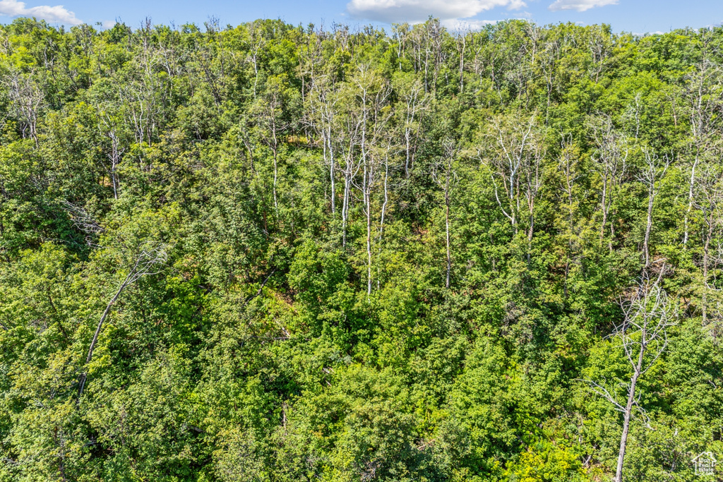  Woodland, UT 84036