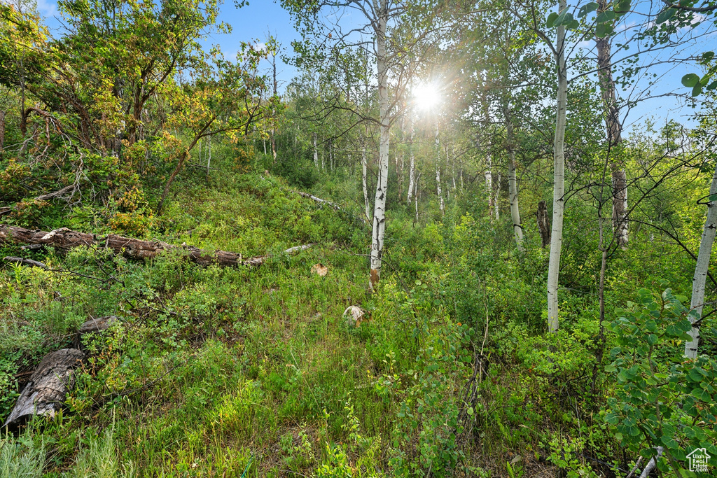  Woodland, UT 84036