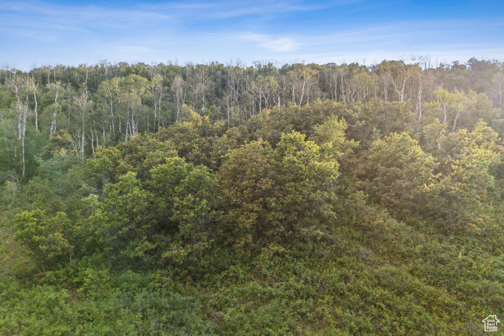  Woodland, UT 84036