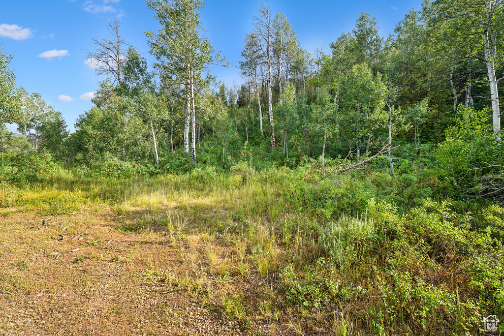  Woodland, UT 84036