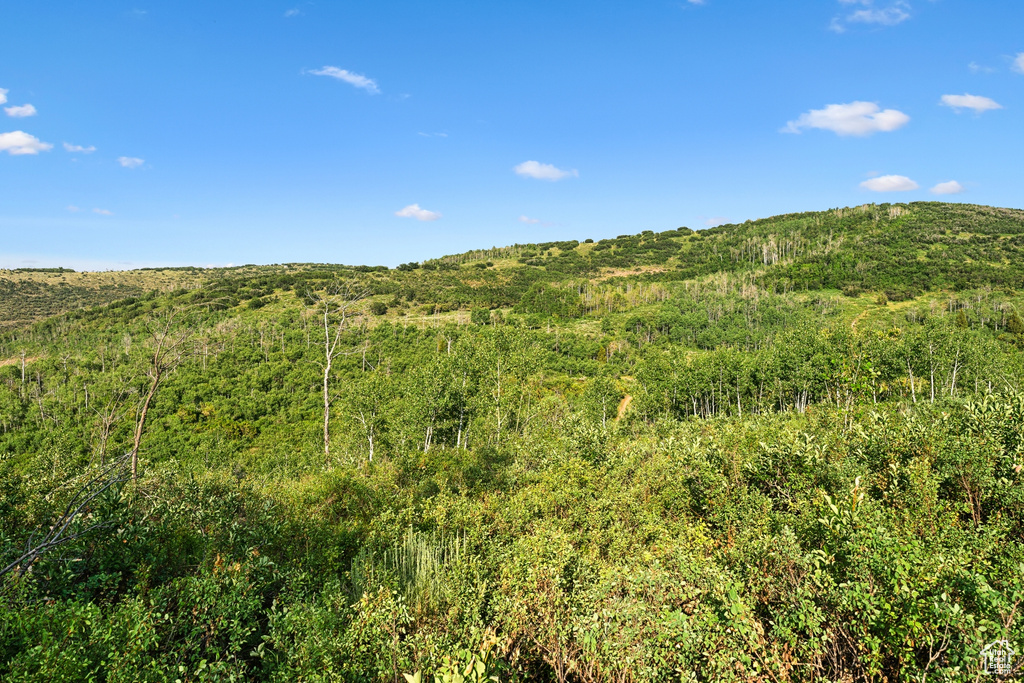  Woodland, UT 84036