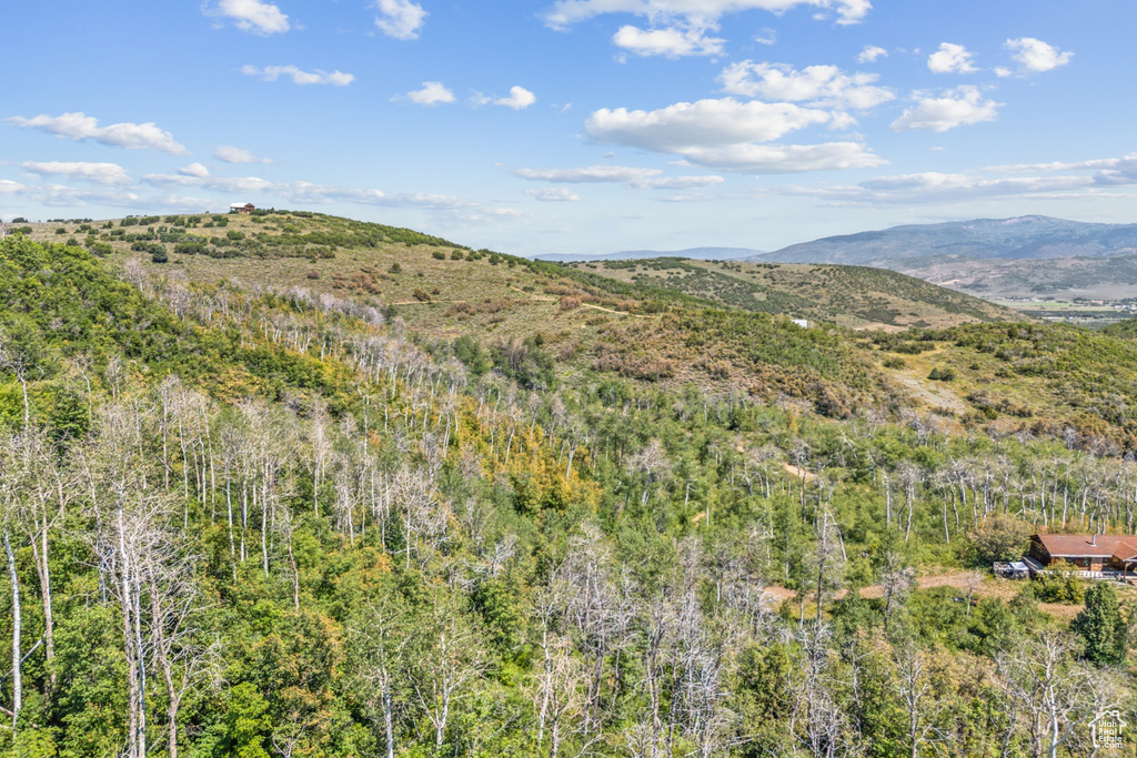  Woodland, UT 84036