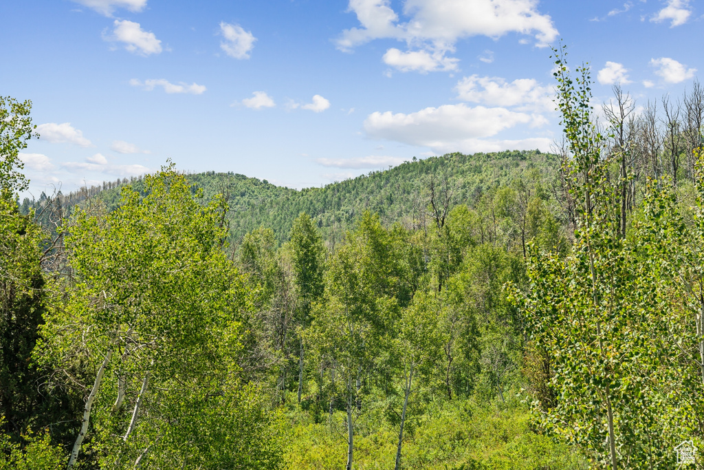  Woodland, UT 84036