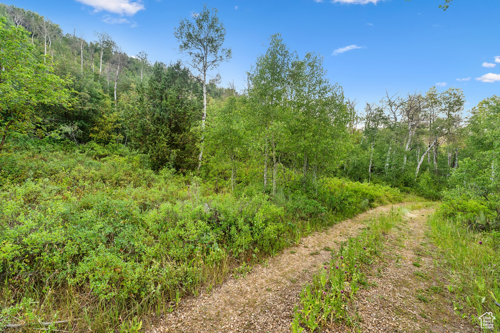  Woodland, UT 84036