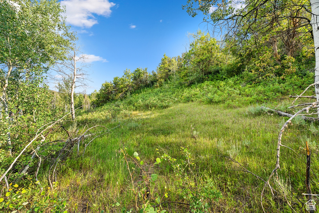  Woodland, UT 84036