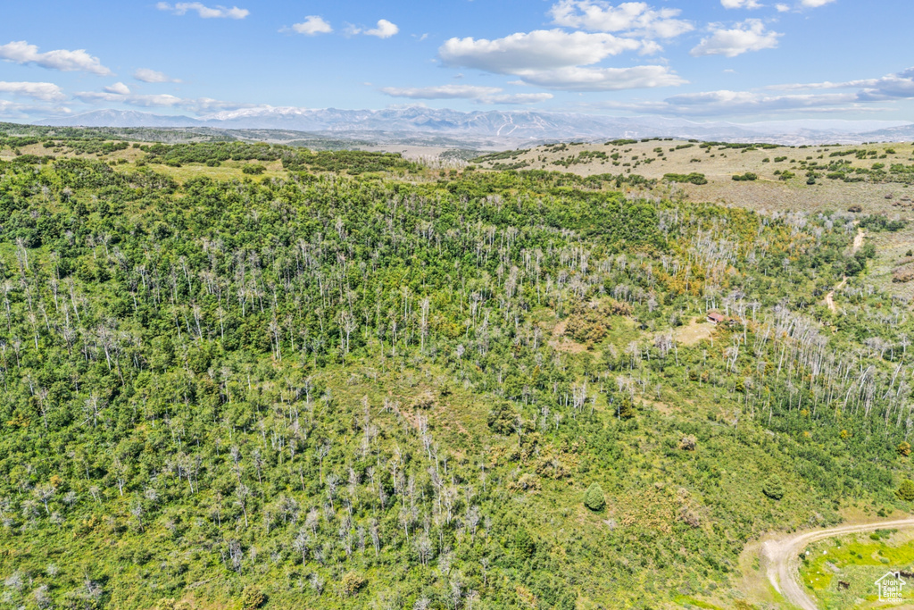  Woodland, UT 84036