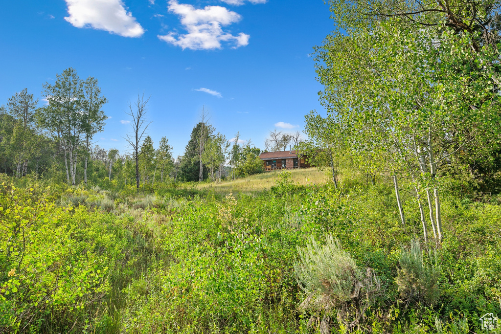  Woodland, UT 84036
