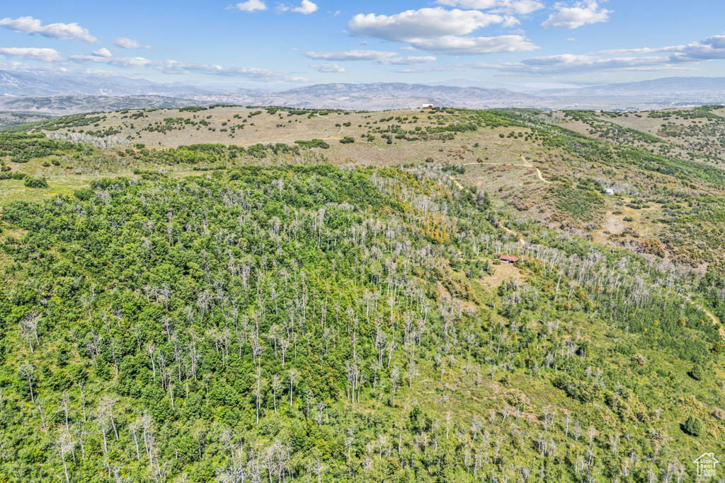  Woodland, UT 84036