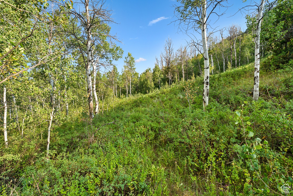  Woodland, UT 84036