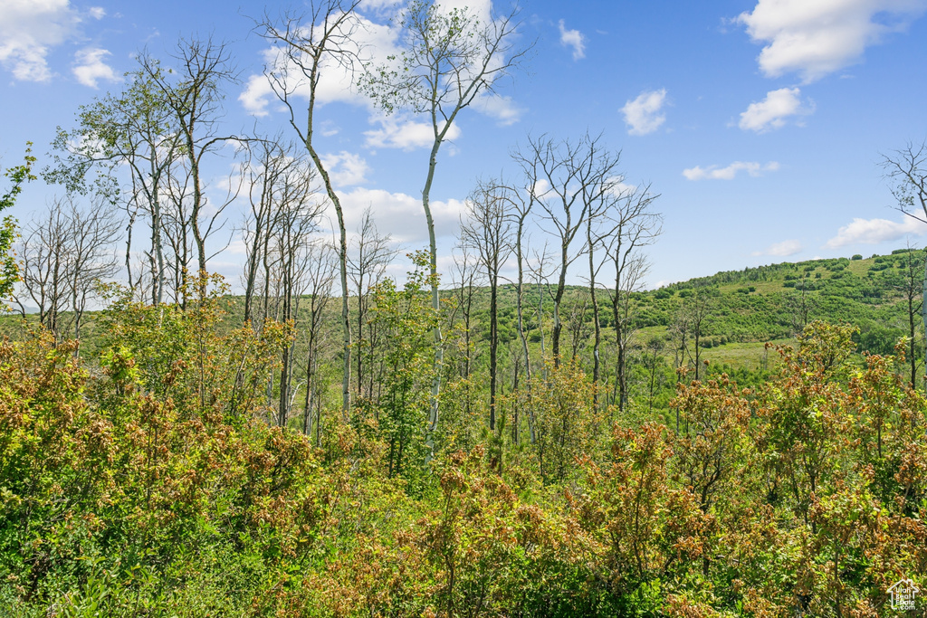  Woodland, UT 84036