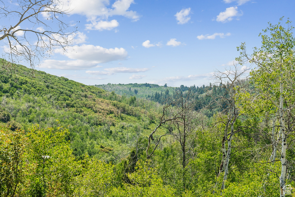  Woodland, UT 84036