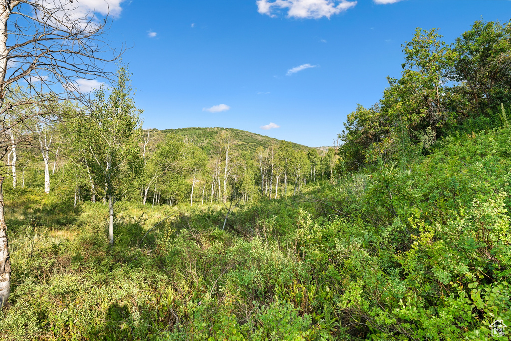  Woodland, UT 84036
