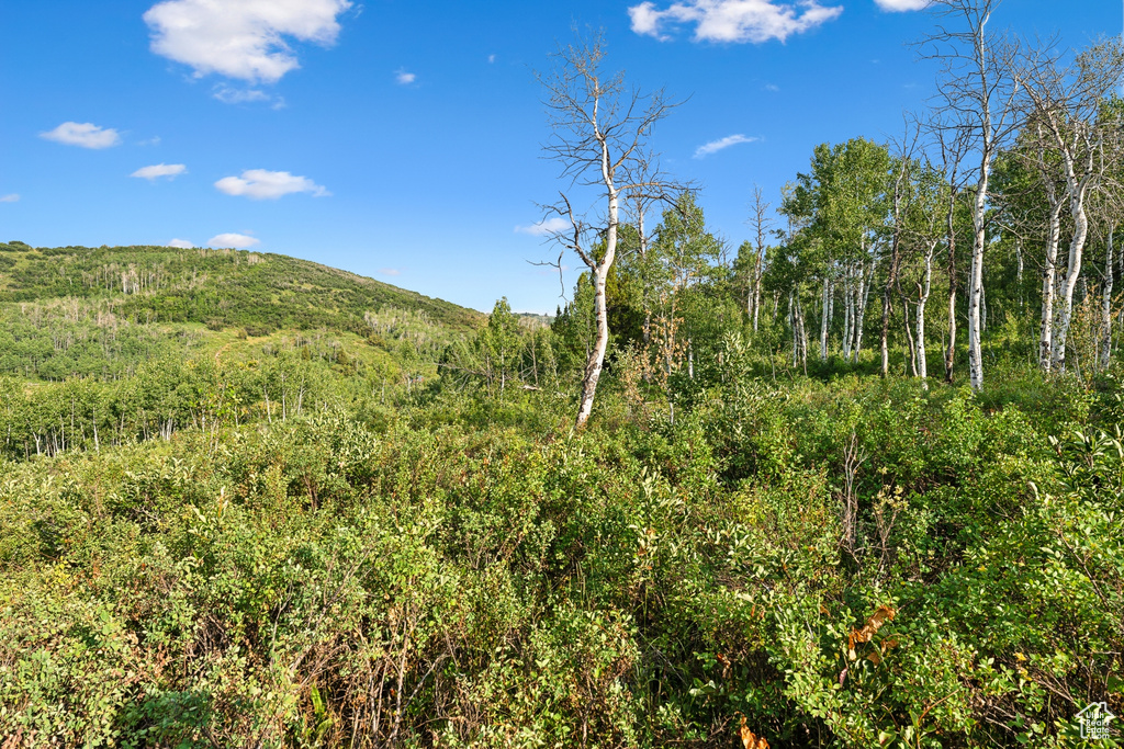  Woodland, UT 84036