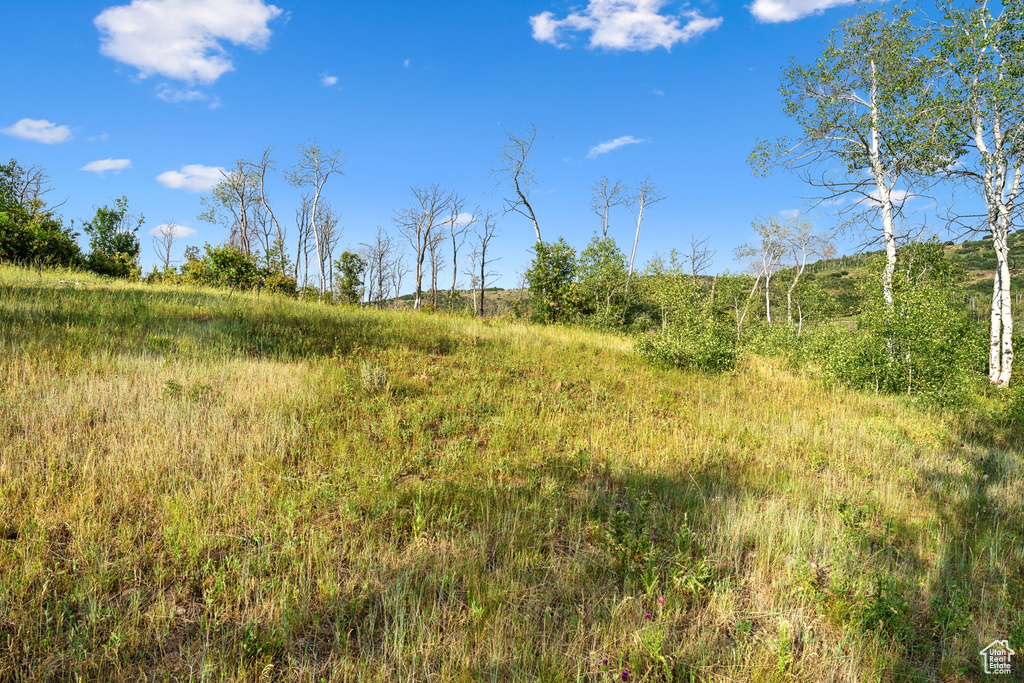  Woodland, UT 84036