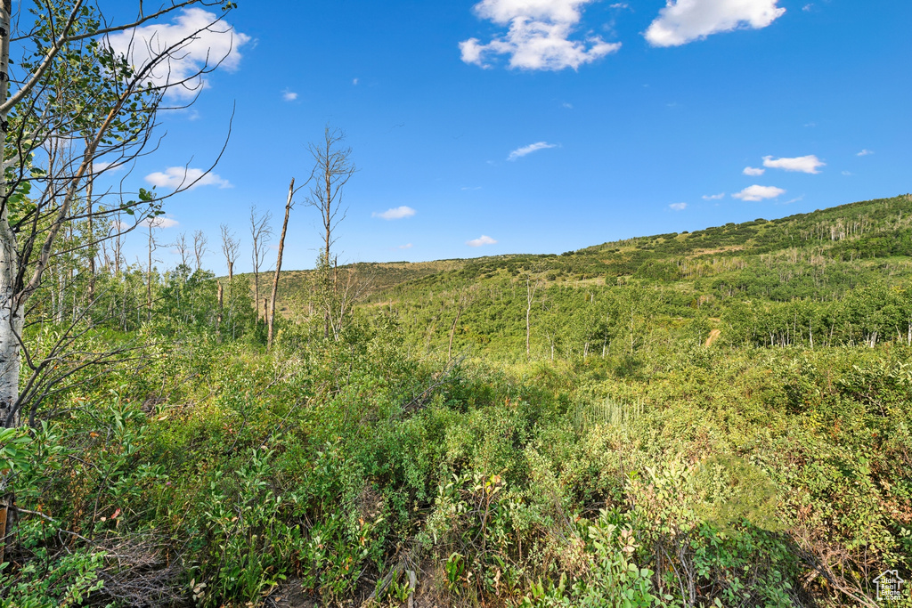 Woodland, UT 84036
