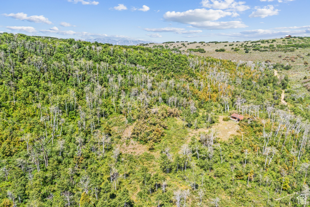  Woodland, UT 84036