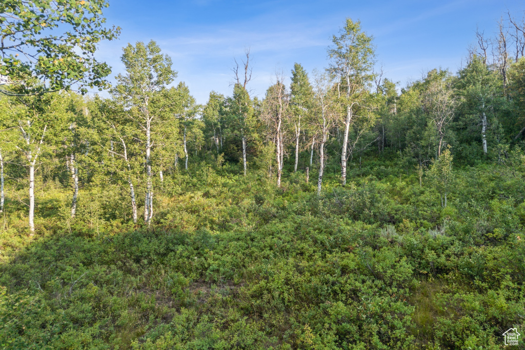  Woodland, UT 84036